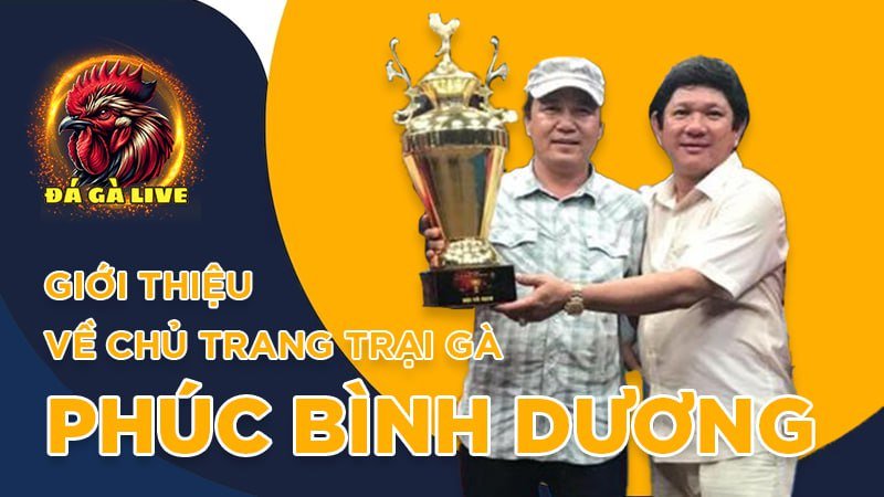 Trại Gà Phúc Bình Dương Nơi Hội Tụ Các Cao Thủ Đá Gà