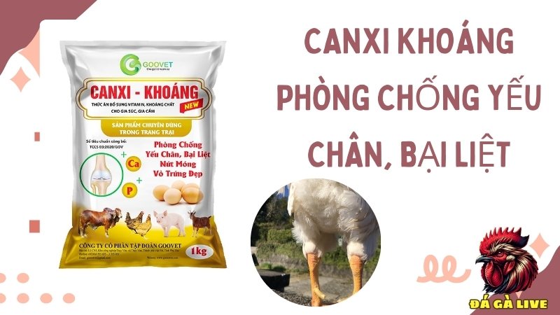 CANXI khoáng phòng chống yếu chân, bại liệt