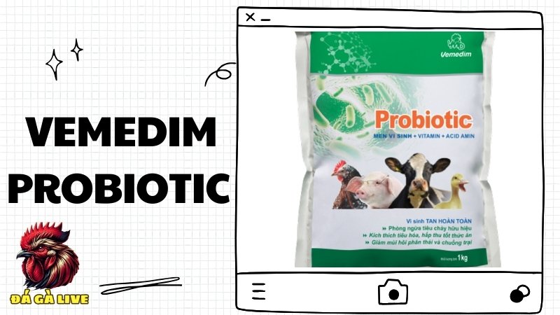  Vemedim Probiotic