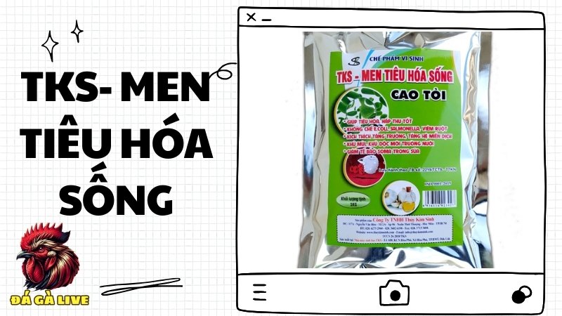 TKS- Men Tiêu Hóa Sống