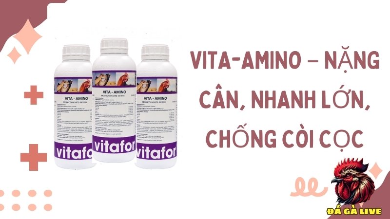 VITA-AMINO