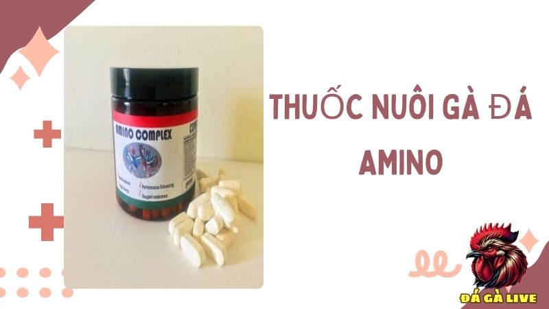 Thuốc nuôi gà đá AMINO