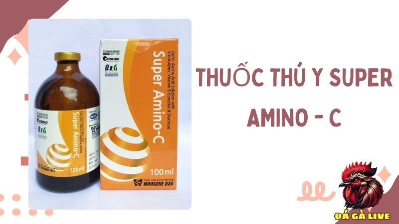 Thuốc thú y SUPER AMINO - C