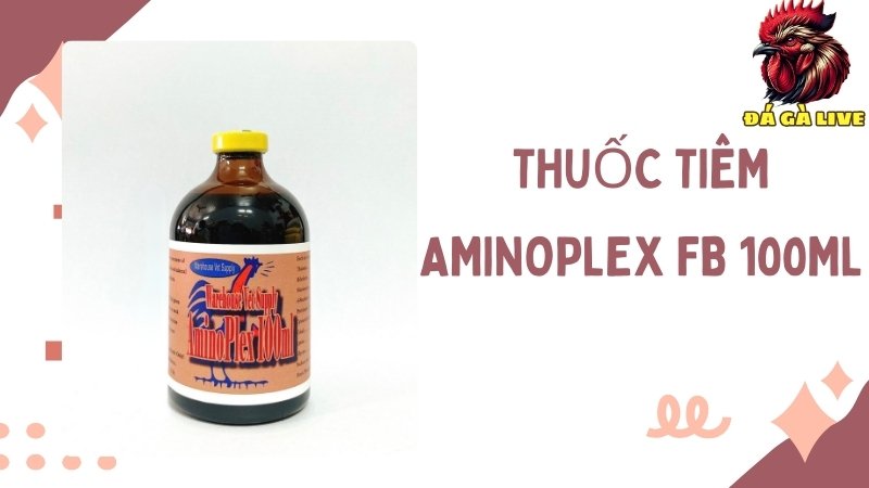 Thuốc tiêm AMINOPLEX FB 100ML