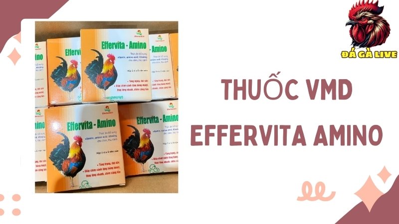 Thuốc VMD Effervita Amino