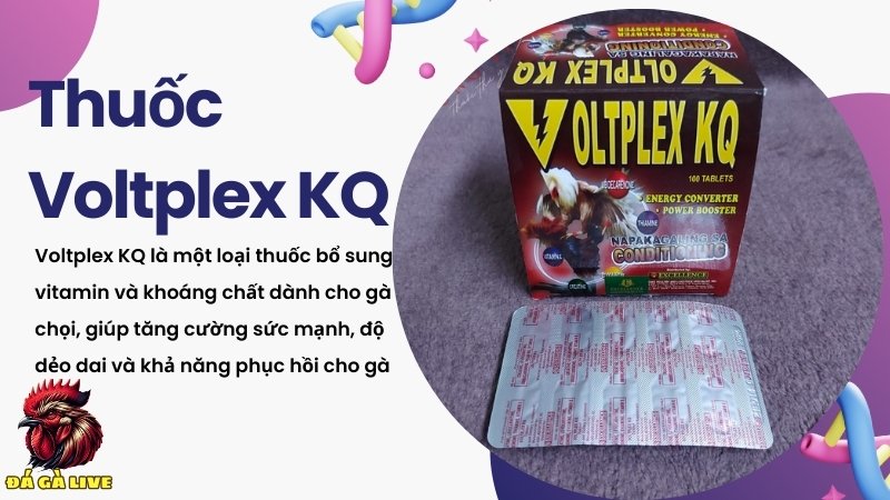 Voltplex KQ cho gà