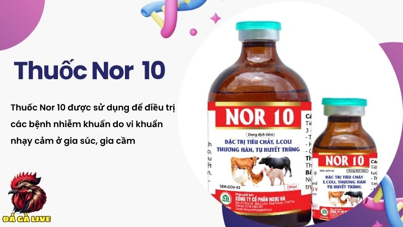 Nor 10 cho gia súc, gia cầm