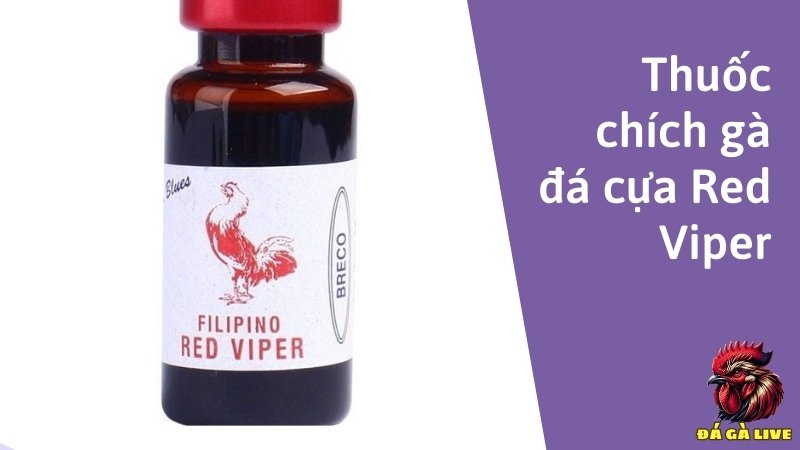 Thuốc chích gà đá cựa Red Viper