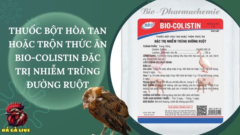 Thuốc bột hòa tan hoặc trộn thức ăn bio-colistin - Đặc trị nhiễm trùng đường ruột