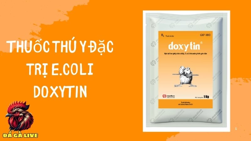 Thuốc đặc trị E. coli DOXYTIN