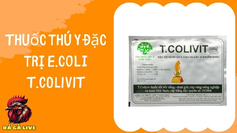 Thuốc đặc trị E. coli T.COLIVIT