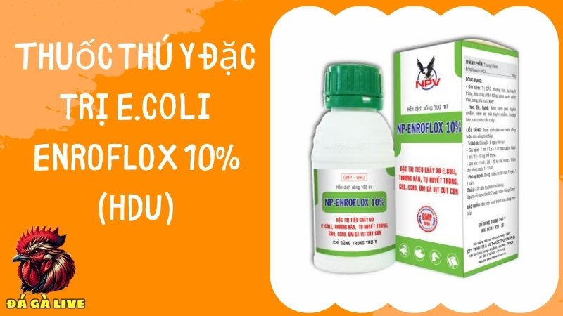 Thuốc đặc trị E. coli ENROFLOX 10% (HDU)