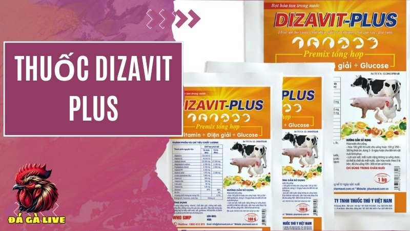  Dizavit-plus