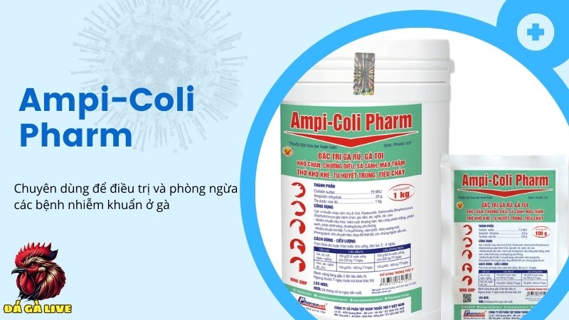 Thuốc điều trị các bệnh về đường hô hấp Ampi-Coli Pharm