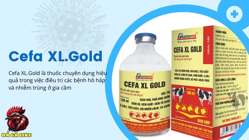 Thuốc điều trị hen khẹc, viêm phổi Cefa XL.Gold