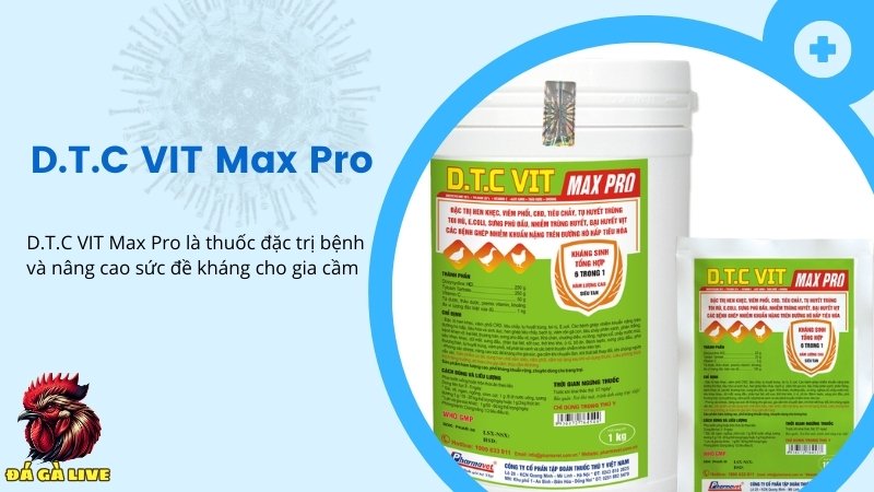 Thuốc đặc trị hen khẹc D.T.C VIT Max Pro