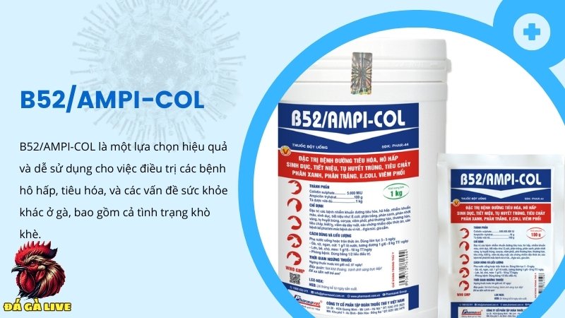 Thuốc điều trị các bệnh liên quan đến đường hô hấp  B52/AMPI-COL