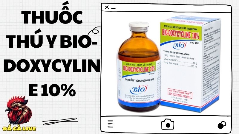 Thuốc thú y BIO-DOXYCYLINE 10%