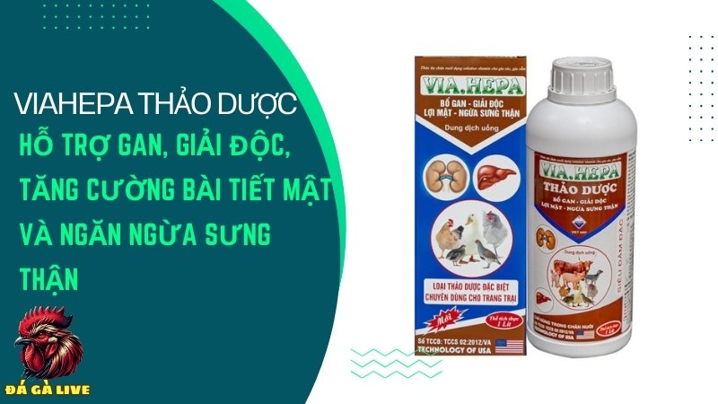 VIA-HEPA thảo dược