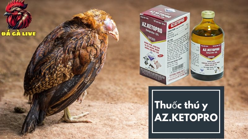 Thuốc thú y AZ.KETOPRO