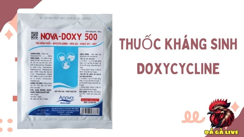 Thuốc kháng sinh Doxycycline