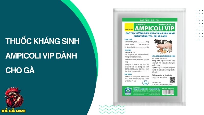 Thuốc ampicoli vip