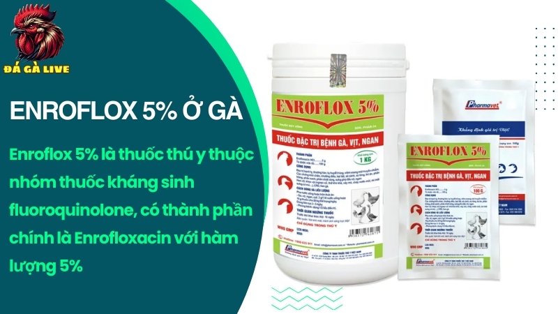 Thuốc enroflox 5%