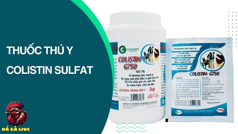 Thuốc colistin sulfat