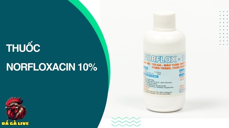 Thuốc norfloxacin 10%