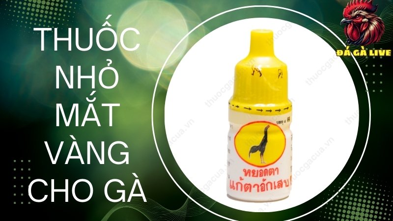 Thuốc nhỏ mắt Vàng