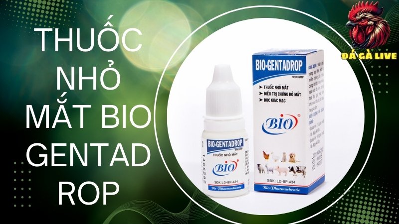 Thuốc nhỏ mắt Bio Gentadrop