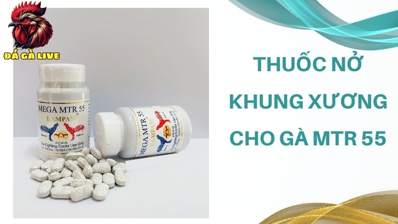 Thuốc nở khung xương Mtr 55