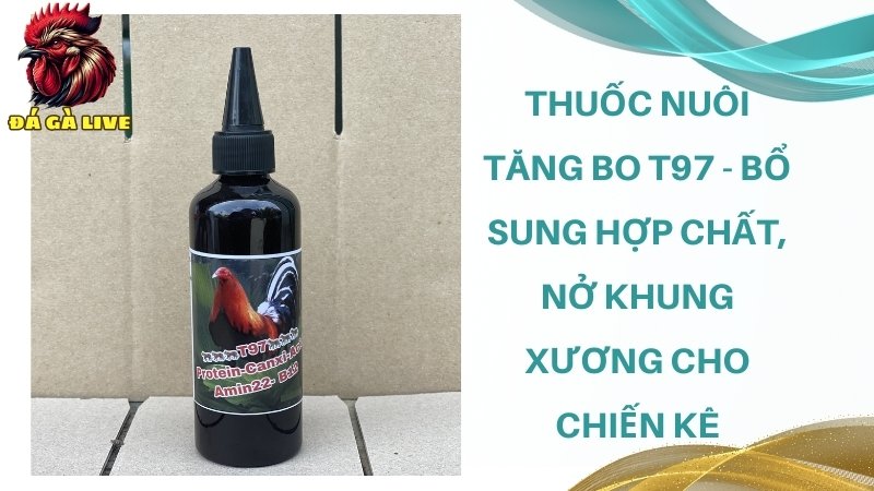 Thuốc nuôi tăng bo T97