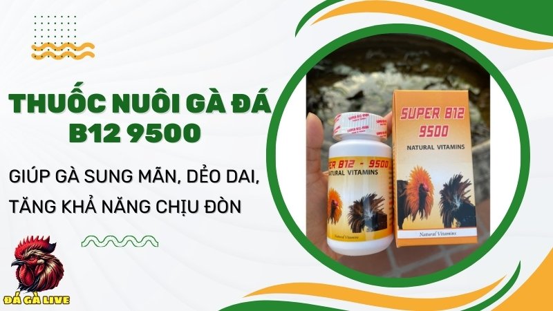 Thuốc nuôi gà đá B12