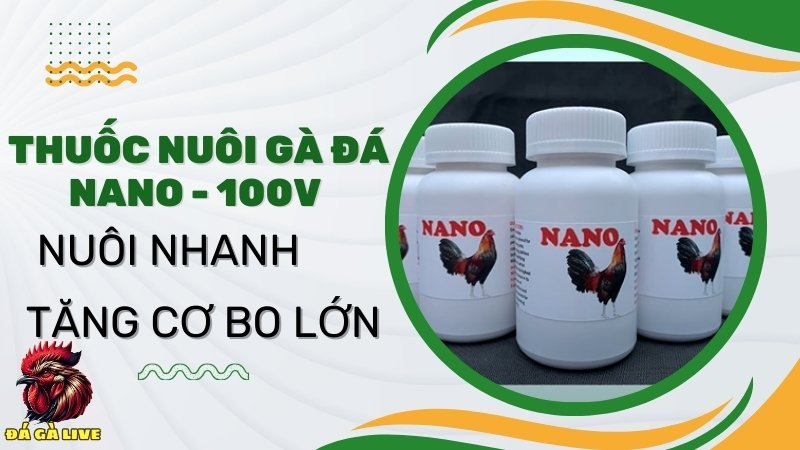 Thuốc nuôi gà đá Nano