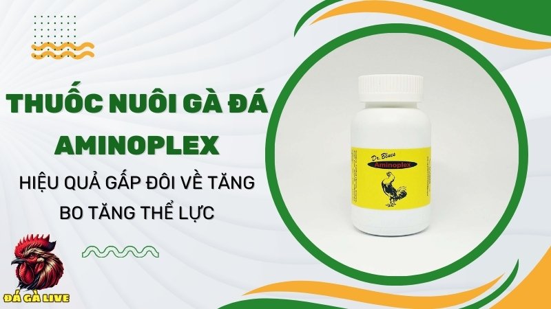 Thuốc nuôi gà đá AMINOPLEX