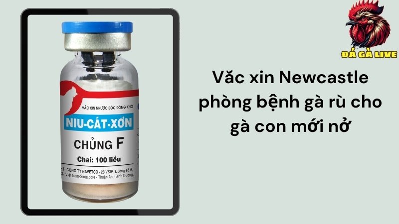 Vắc-xin Newcastle
