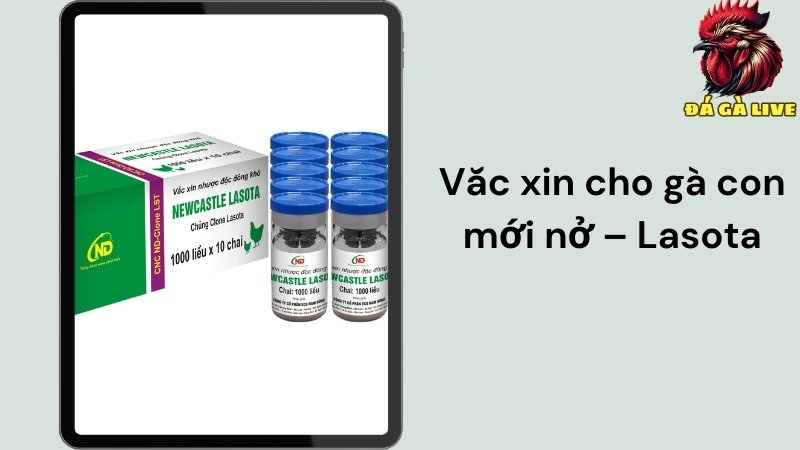 Vắc-xin Lasota