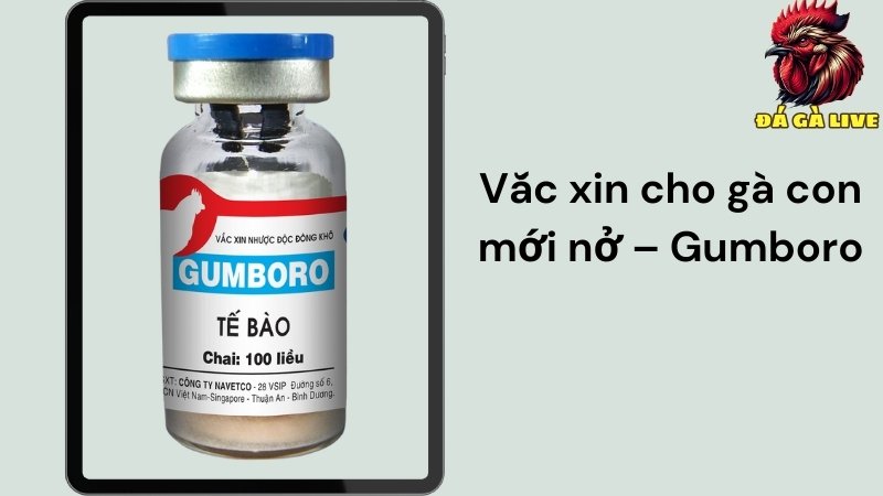 Vắc-xin Gumboro