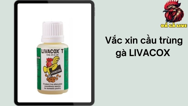 Vắc-xin LIVACOX