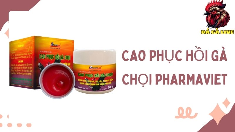 Cao phục hồi gà chọi Pharmaviet