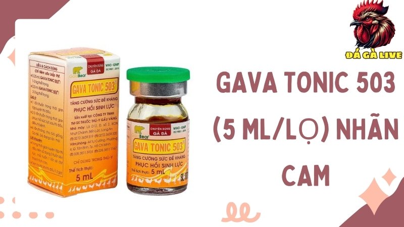 GAVA TONIC 503 (5 ML/Lọ)