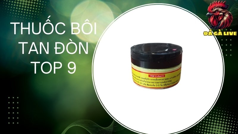 Thuốc bôi tan đòn Top 9