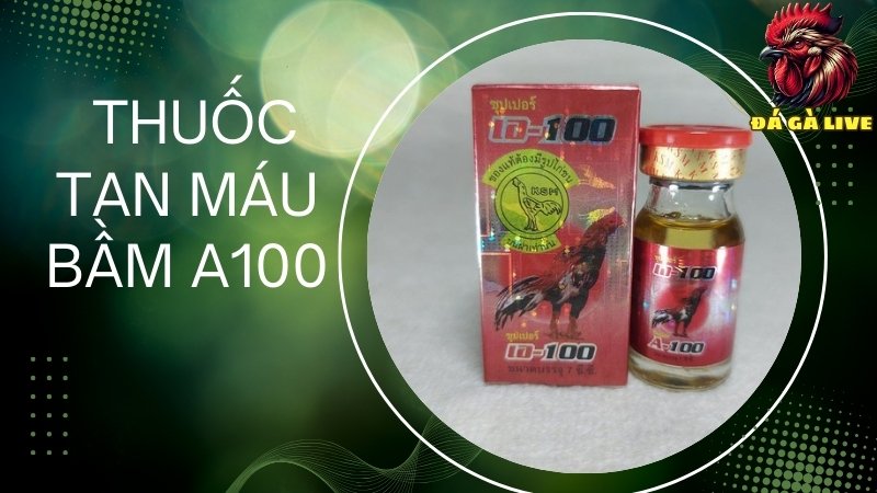 Thuốc tan máu bầm A100