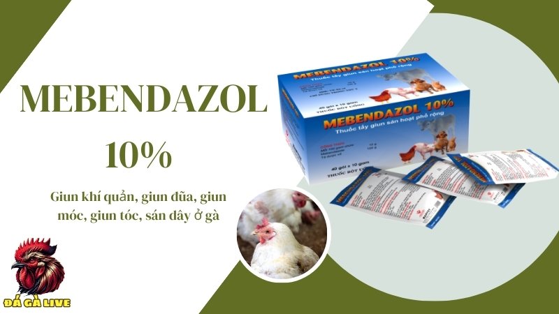 Thuốc trị giun cho gà MEBENDAZOL 10% 