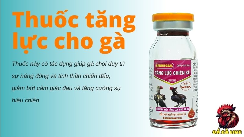 Thuốc tăng lực cho gà