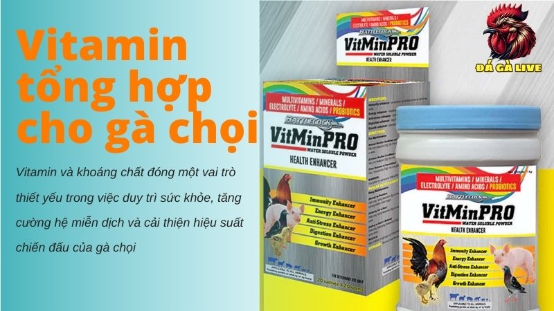 Vitamin tổng hợp cho gà chọi