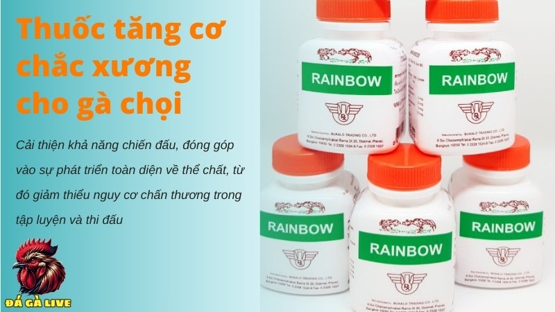 Thuốc tăng cơ chắc xương cho gà chọi