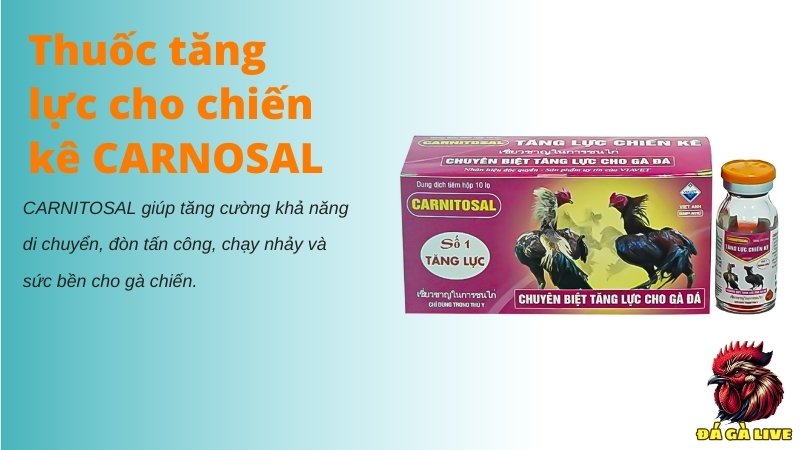 Thuốc tăng lực cho chiến kê CARNITOSAL