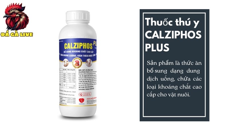 Thuốc thú y CALZIPHOS PLUS